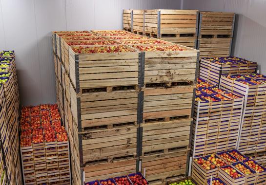 perishables